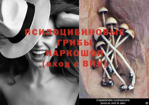 гидра Алексеевка