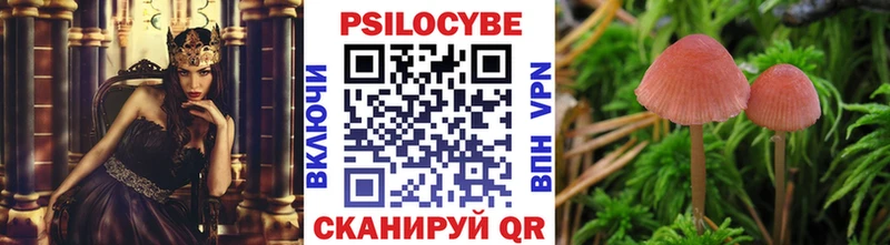 Псилоцибиновые грибы мицелий Рошаль